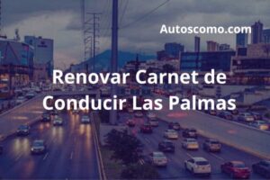 Renovar Carnet de Conducir Las Palmas